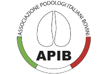 I nostri partner - APIB